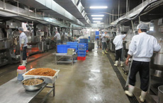 舜泰專(zhuān)業(yè)團(tuán)隊(duì)