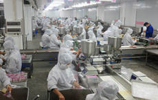 舜泰專(zhuān)業(yè)團(tuán)隊(duì)